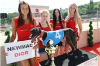 Chrt_dostihy_CGDF_Greyhound_Racing_Praha_Bookmakers_IMG_5751_v.JPG