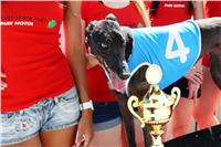 Chrt_dostihy_CGDF_Greyhound_Racing_Praha_Bookmakers_IMG_5752.JPG