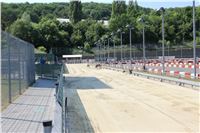 Chrt_dostihy_CGDF_Greyhound_Racing_Praha_Bookmakers_IMG_5804.JPG