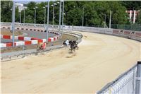 Chrt_dostihy_CGDF_Greyhound_Racing_Praha_Bookmakers_IMG_5815.JPG