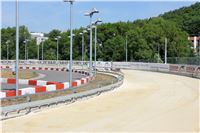 Chrt_dostihy_CGDF_Greyhound_Racing_Praha_Bookmakers_IMG_5816.JPG