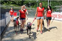 Chrt_dostihy_CGDF_Greyhound_Racing_Praha_Bookmakers_IMG_5822.JPG
