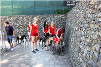 Chrt_dostihy_CGDF_Greyhound_Racing_Praha_Bookmakers_IMG_5825.JPG