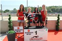 Chrt_dostihy_CGDF_Greyhound_Racing_Praha_Bookmakers_IMG_5832.JPG
