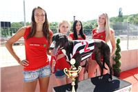 Chrt_dostihy_CGDF_Greyhound_Racing_Praha_Bookmakers_IMG_5837.JPG
