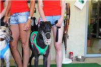 Chrt_dostihy_CGDF_Greyhound_Racing_Praha_Bookmakers_IMG_5863.JPG