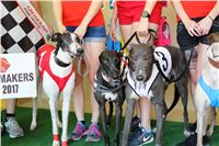 Chrt_dostihy_CGDF_Greyhound_Racing_Praha_Bookmakers_IMG_5865.JPG