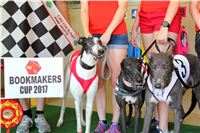 Chrt_dostihy_CGDF_Greyhound_Racing_Praha_Bookmakers_IMG_5866.JPG