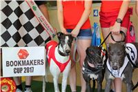 Chrt_dostihy_CGDF_Greyhound_Racing_Praha_Bookmakers_IMG_5867.JPG