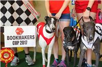 Chrt_dostihy_CGDF_Greyhound_Racing_Praha_Bookmakers_IMG_5868.JPG