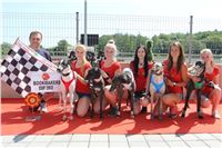 Chrt_dostihy_CGDF_Greyhound_Racing_Praha_Bookmakers_IMG_5880.JPG