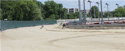 Chrt_dostihy_CGDF_Greyhound_Racing_Praha_Bookmakers_IMG_5892.JPG