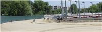 Chrt_dostihy_CGDF_Greyhound_Racing_Praha_Bookmakers_IMG_5893.JPG