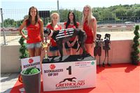 Chrt_dostihy_CGDF_Greyhound_Racing_Praha_Bookmakers_IMG_5902.JPG