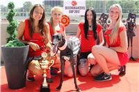 Chrt_dostihy_CGDF_Greyhound_Racing_Praha_Bookmakers_IMG_5927.JPG