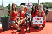 Chrt_dostihy_CGDF_Greyhound_Racing_Praha_Bookmakers_IMG_5933.JPG