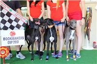 Chrt_dostihy_CGDF_Greyhound_Racing_Praha_Bookmakers_IMG_5951.JPG