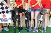 Chrt_dostihy_CGDF_Greyhound_Racing_Praha_Bookmakers_IMG_5955.JPG