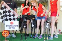 Chrt_dostihy_CGDF_Greyhound_Racing_Praha_Bookmakers_IMG_5957.JPG