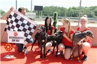 Chrt_dostihy_CGDF_Greyhound_Racing_Praha_Bookmakers_IMG_5971.JPG