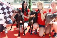 Chrt_dostihy_CGDF_Greyhound_Racing_Praha_Bookmakers_IMG_5972.JPG