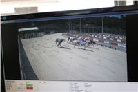 Chrt_dostihy_CGDF_Greyhound_Racing_Praha_Bookmakers_IMG_6000.JPG