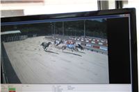 Chrt_dostihy_CGDF_Greyhound_Racing_Praha_Bookmakers_IMG_6001.JPG