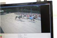 Chrt_dostihy_CGDF_Greyhound_Racing_Praha_Bookmakers_IMG_6003.JPG