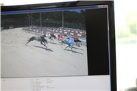 Chrt_dostihy_CGDF_Greyhound_Racing_Praha_Bookmakers_IMG_6004.JPG