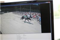 Chrt_dostihy_CGDF_Greyhound_Racing_Praha_Bookmakers_IMG_6005.JPG