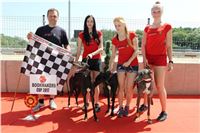 Chrt_dostihy_Race_4_5_6_CGDF_Greyhound_Racing_Praha.JPG