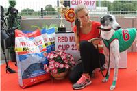 1Chrt_dostihy_greyhound_park_motol_praha_Red_Mills__IMG_6257-kopie.jpg