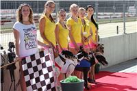 Chrt_dostihy_Greyhound_park_motol_Summer_Prix_Praha_2017_IMG_6947.jpg