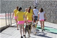 Chrt_dostihy_Greyhound_park_motol_Summer_Prix_Praha_2017_IMG_6948.jpg