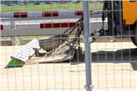 Chrt_dostihy_Greyhound_park_motol_Summer_Prix_Praha_2017_IMG_6981.jpg