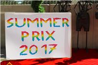 Chrt_dostihy_Greyhound_park_motol_Summer_Prix_Praha_2017_IMG_6988.jpg