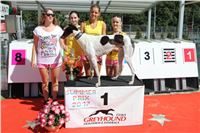 Chrt_dostihy_Greyhound_park_motol_Summer_Prix_Praha_2017_IMG_6989.jpg