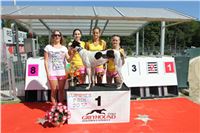 Chrt_dostihy_Greyhound_park_motol_Summer_Prix_Praha_2017_IMG_6994.jpg