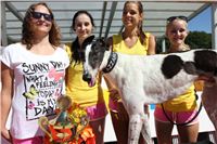 Chrt_dostihy_Greyhound_park_motol_Summer_Prix_Praha_2017_IMG_7001.jpg