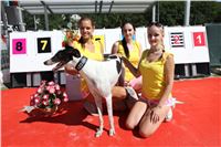 Chrt_dostihy_Greyhound_park_motol_Summer_Prix_Praha_2017_IMG_7002.jpg