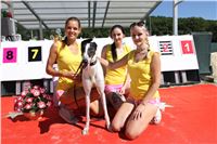 Chrt_dostihy_Greyhound_park_motol_Summer_Prix_Praha_2017_IMG_7004.jpg