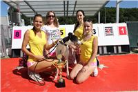 Chrt_dostihy_Greyhound_park_motol_Summer_Prix_Praha_2017_IMG_7009.jpg