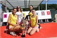 Chrt_dostihy_Greyhound_park_motol_Summer_Prix_Praha_2017_IMG_7012.jpg