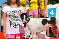 Chrt_dostihy_Greyhound_park_motol_Summer_Prix_Praha_2017_IMG_7018.jpg