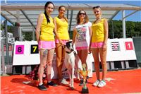 Chrt_dostihy_Greyhound_park_motol_Summer_Prix_Praha_2017_IMG_7024.jpg