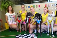 Chrt_dostihy_Greyhound_park_motol_Summer_Prix_Praha_2017_IMG_7038.jpg