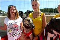 Chrt_dostihy_Greyhound_park_motol_Summer_Prix_Praha_2017_IMG_7043.jpg