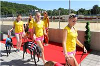 Chrt_dostihy_Greyhound_park_motol_Summer_Prix_Praha_2017_IMG_7047.jpg