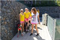 Chrt_dostihy_Greyhound_park_motol_Summer_Prix_Praha_2017_IMG_7057.jpg