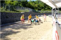 Chrt_dostihy_Greyhound_park_motol_Summer_Prix_Praha_2017_IMG_7072.jpg